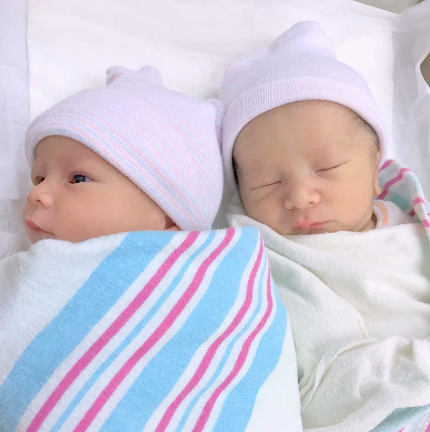 teamfsc babies born through surrogacy in 2017