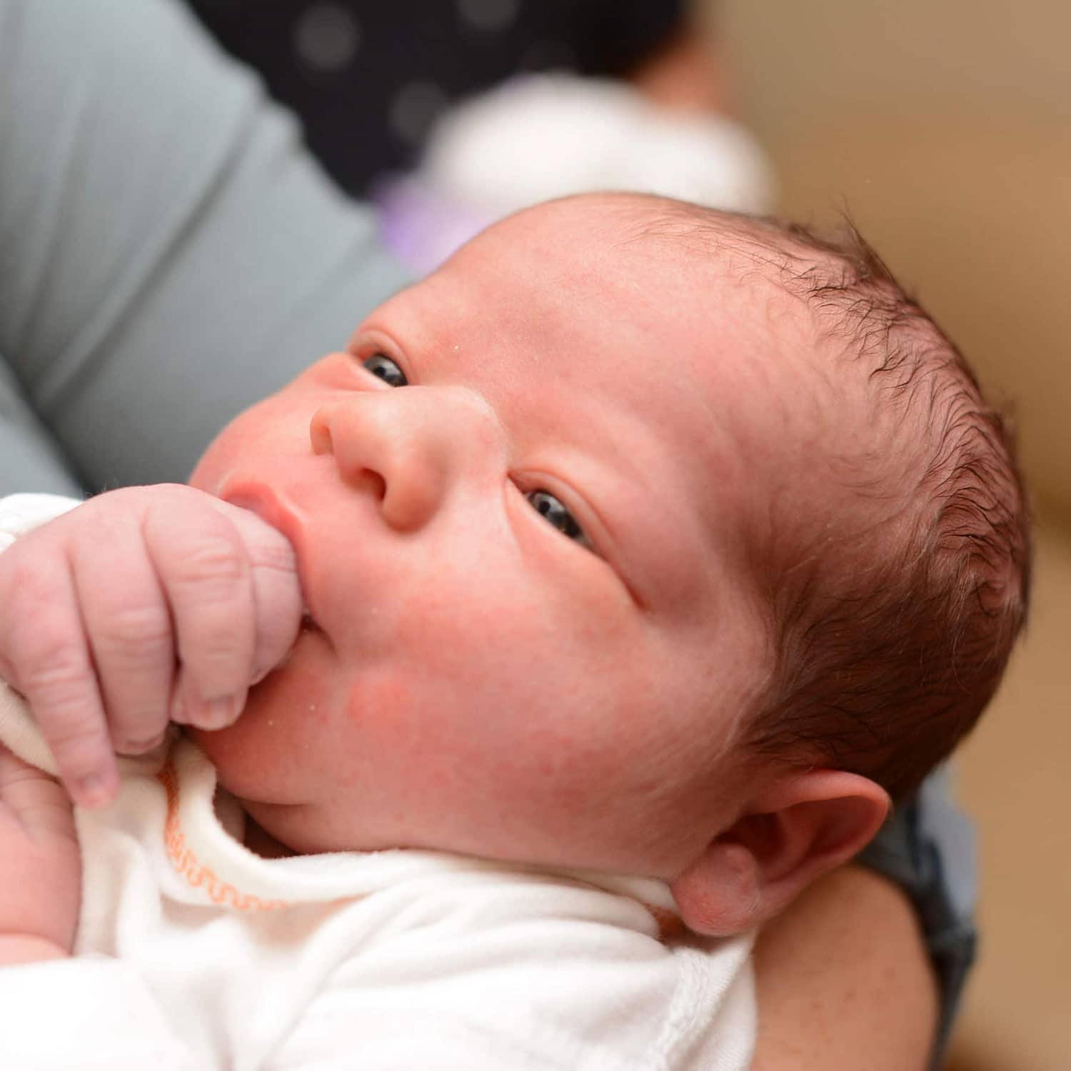 teamfsc babies born through surrogacy in 2017