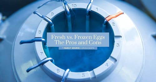 Fresh vs. Frozen Eggs: The Pros and Cons
