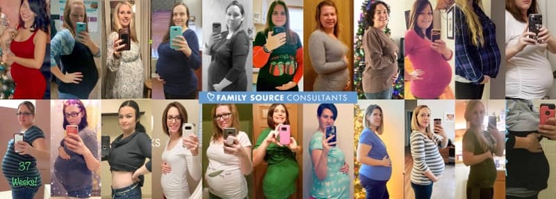 surrogacy program updates | january 2018