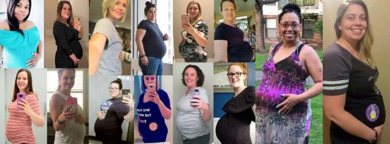 surrogacy program updates • june 2018